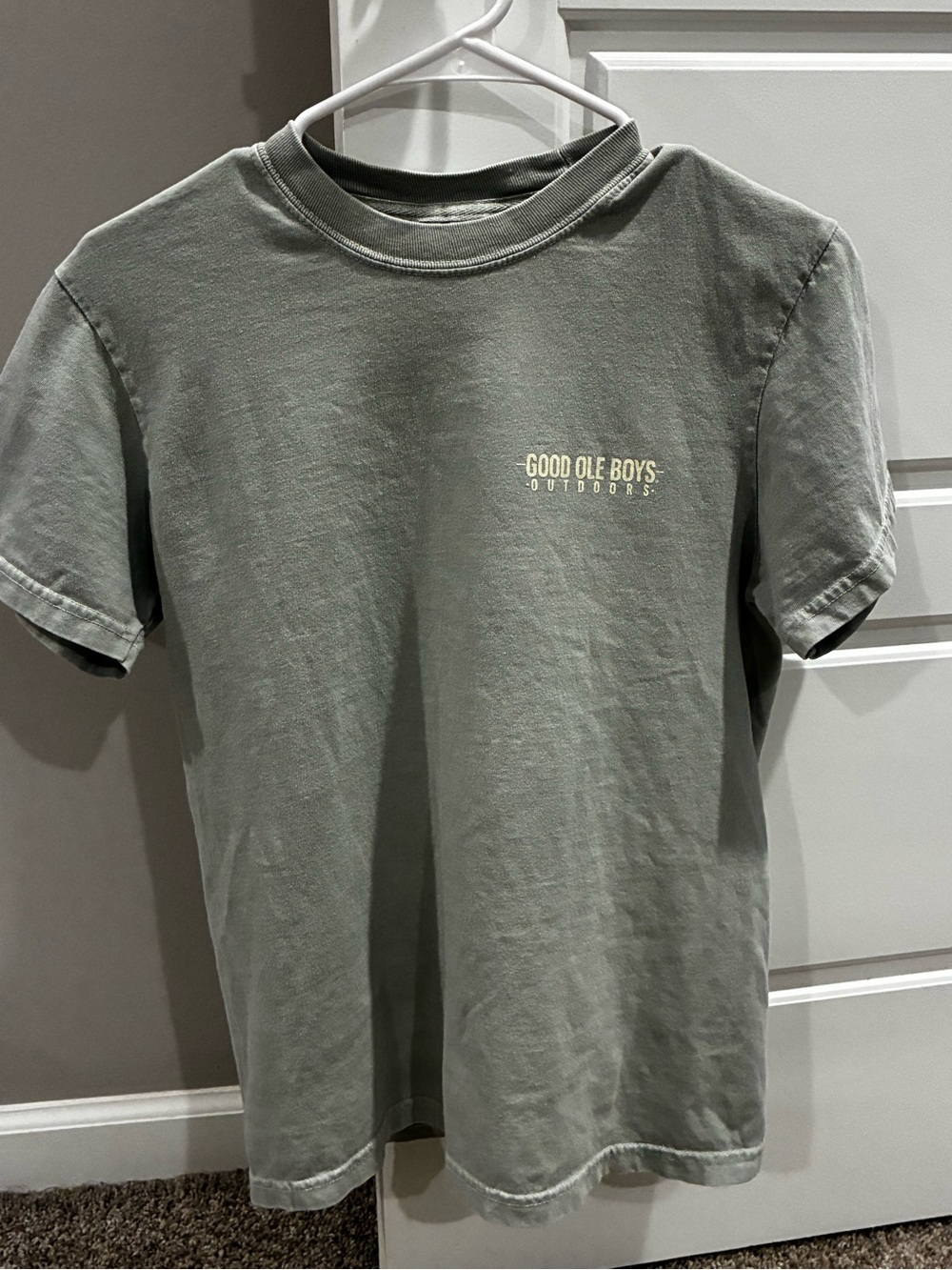 Comfort Colors Olive Sage Short Sleeve Logo Tee